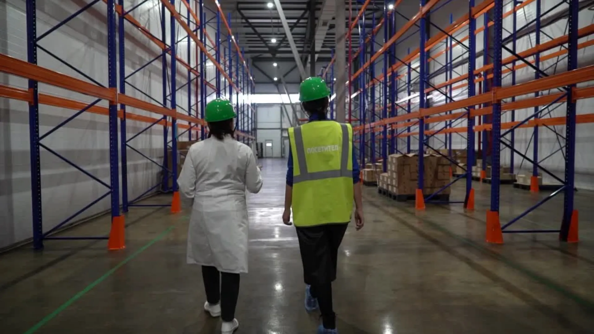 Lagerräumung Winterthur Video - Professionelle Einlagerungsauflösung